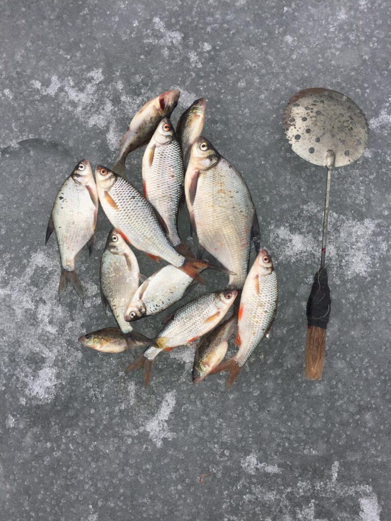 рыбалка со льда на леща