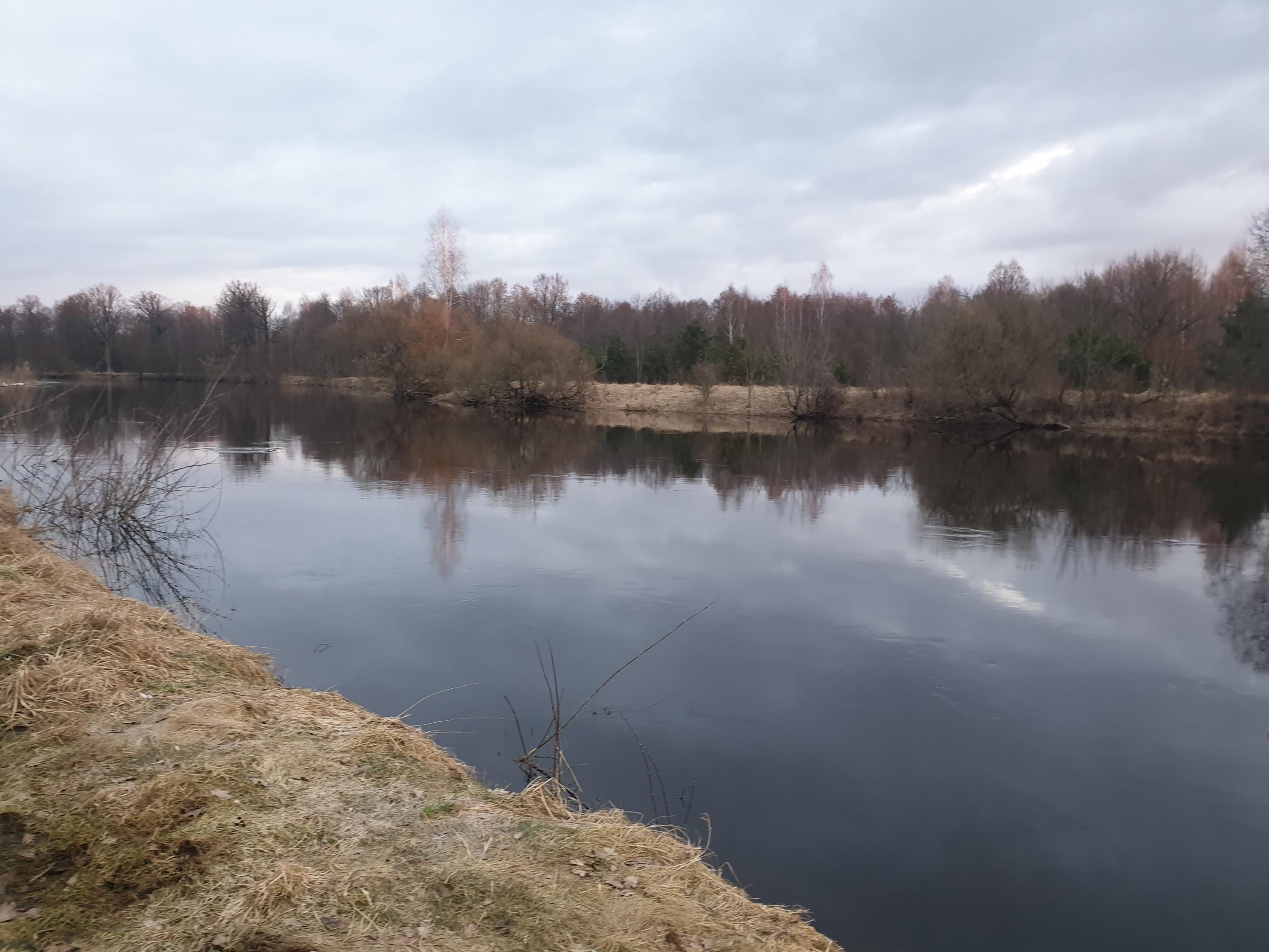  Открываемся на Свислочи, ниже водохранилища.Неделя выдалась теплой, и ... | Отчеты о рыбалке в Беларуси
