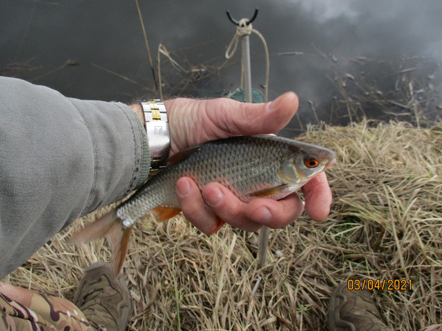  После вчерашней рыбалки“порох” остался, поэтому решил выспаться ( ... | Отчеты о рыбалке в Беларуси