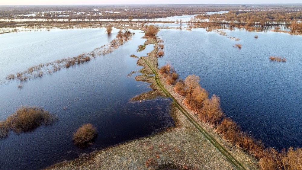  В прошлом году нормальной зимы почти и не ... | Отчеты о рыбалке в Беларуси