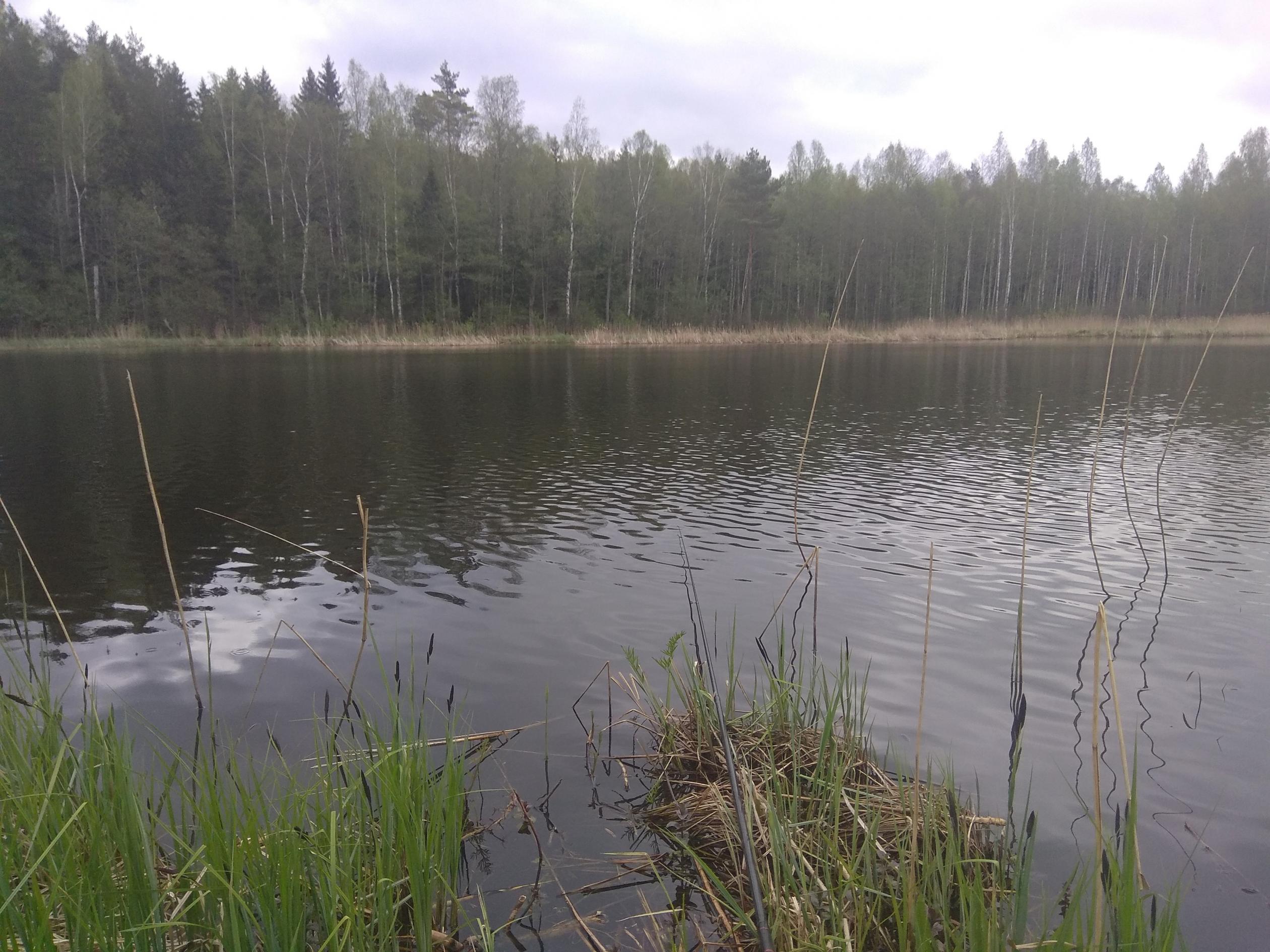  Как в большинстве моих рыболовных вылазок, и вчерашняя ... | Отчеты о рыбалке в Беларуси