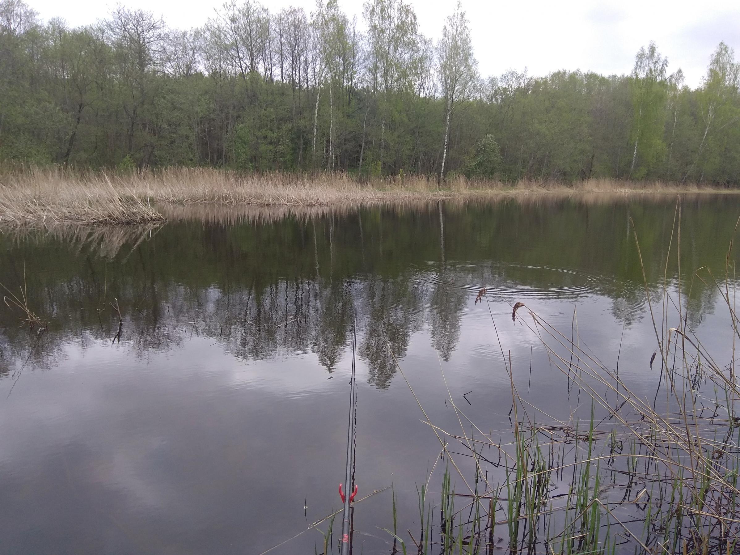  Как в большинстве моих рыболовных вылазок, и вчерашняя ... | Отчеты о рыбалке в Беларуси