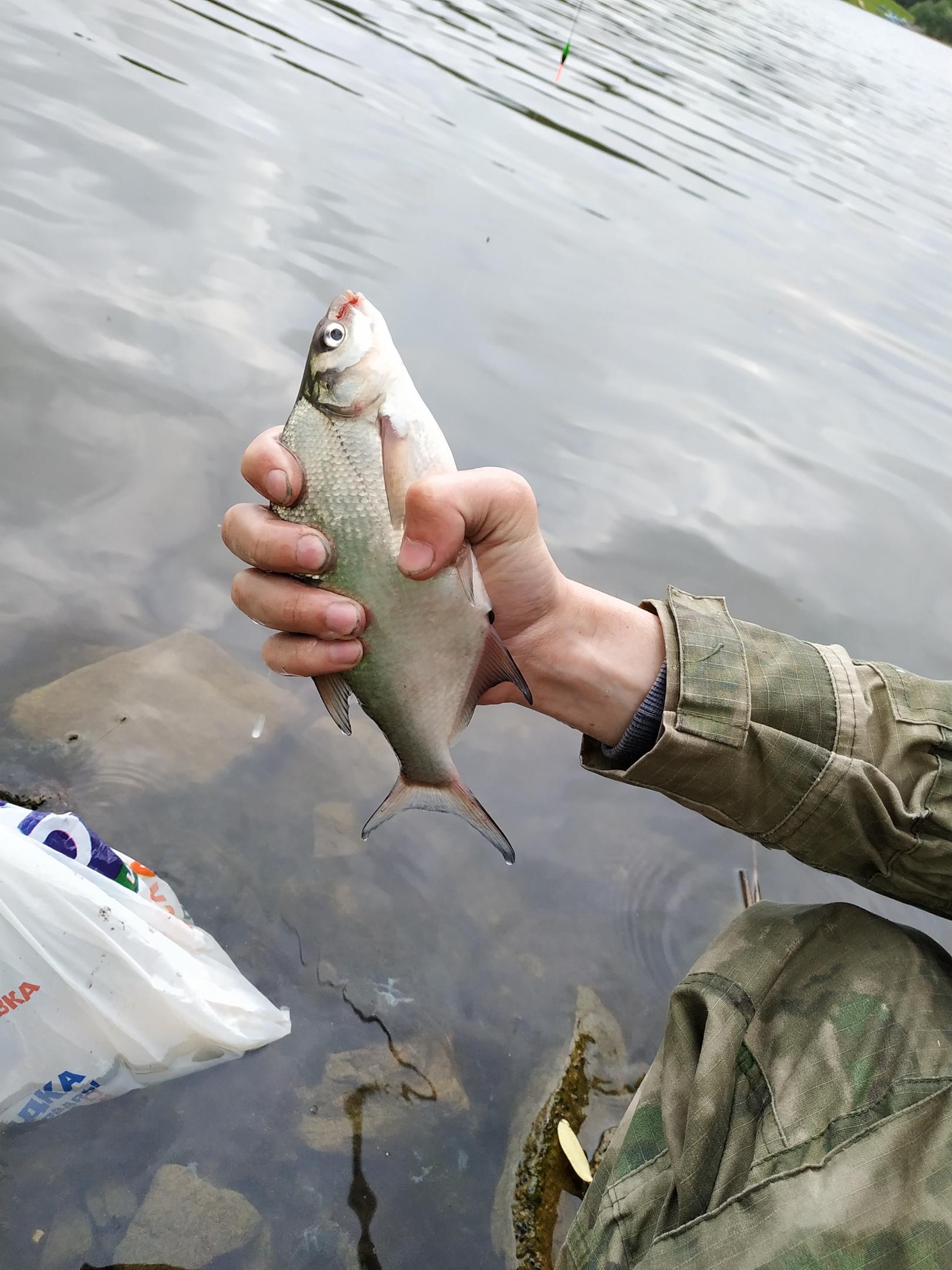  За последние 5 рыбалок на разных водоемах были ... | Отчеты о рыбалке в Беларуси