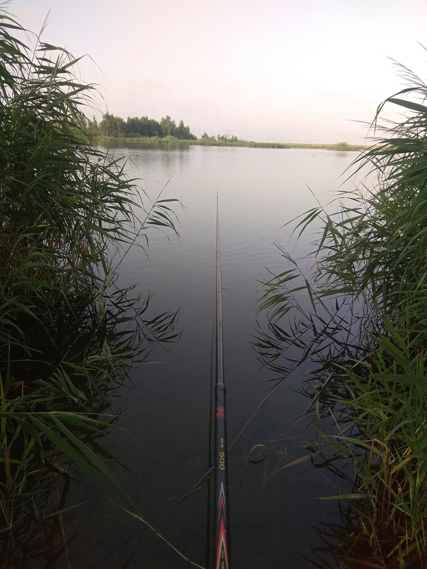  Сегодня с утра проехал немного по водоемам. На ... | Отчеты о рыбалке в Беларуси